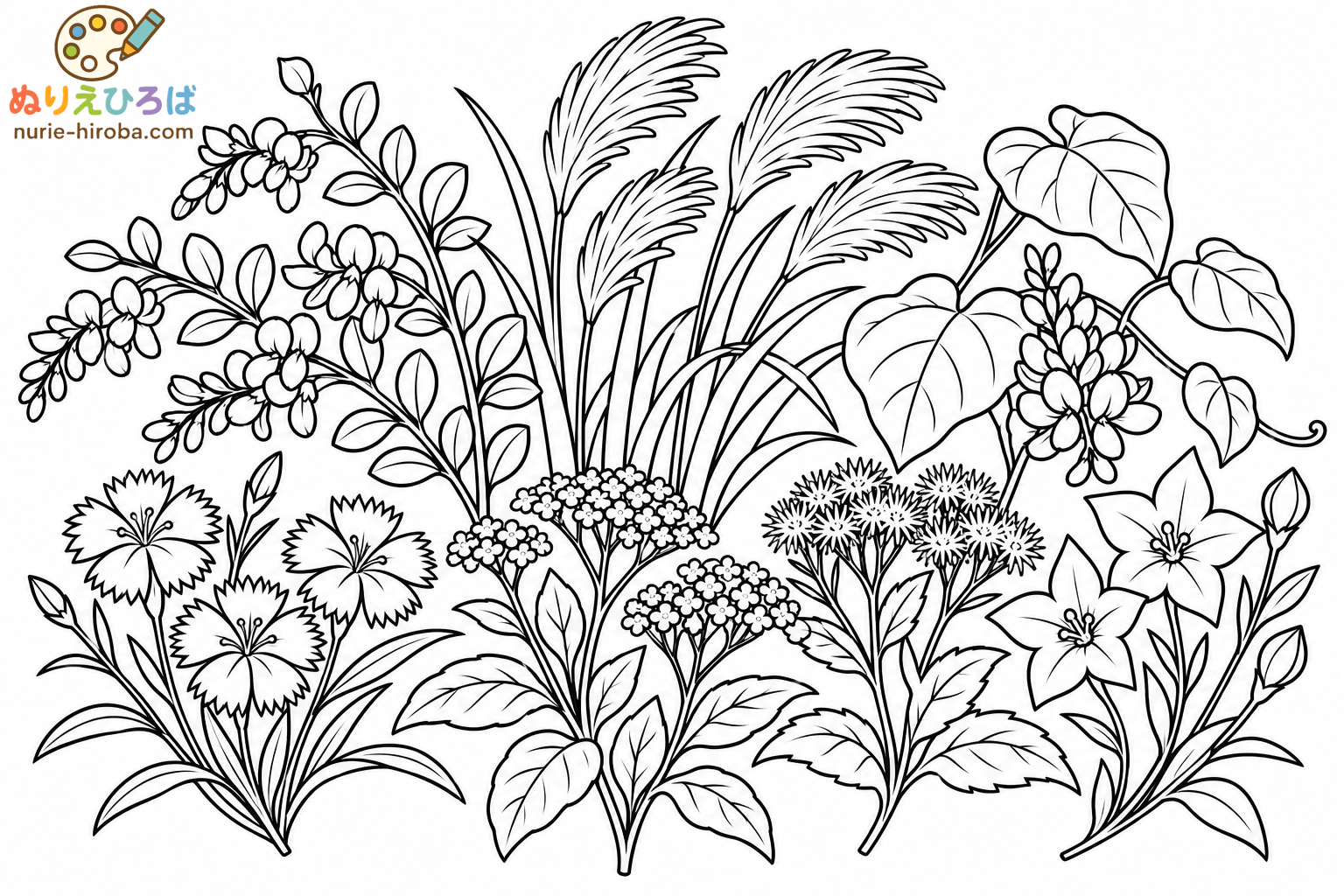 秋の七草の無料塗り絵