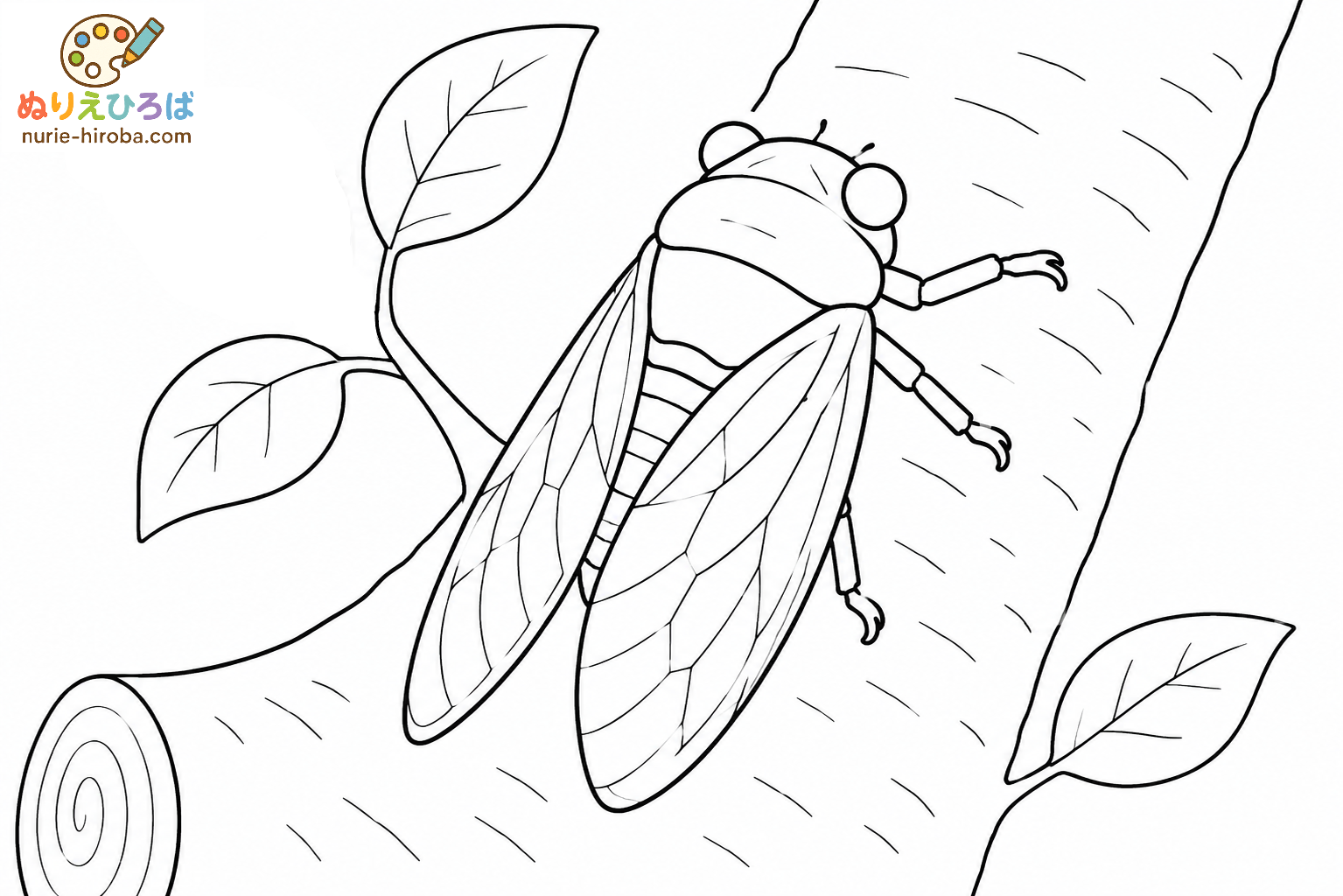 セミの塗り絵（プレビュー）