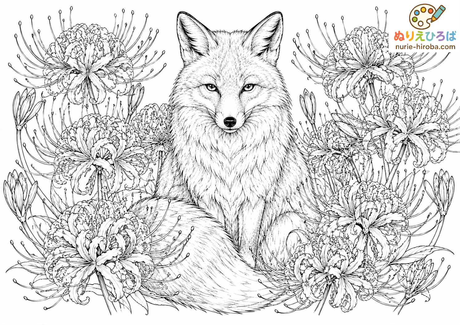 キツネと彼岸花の無料塗り絵
