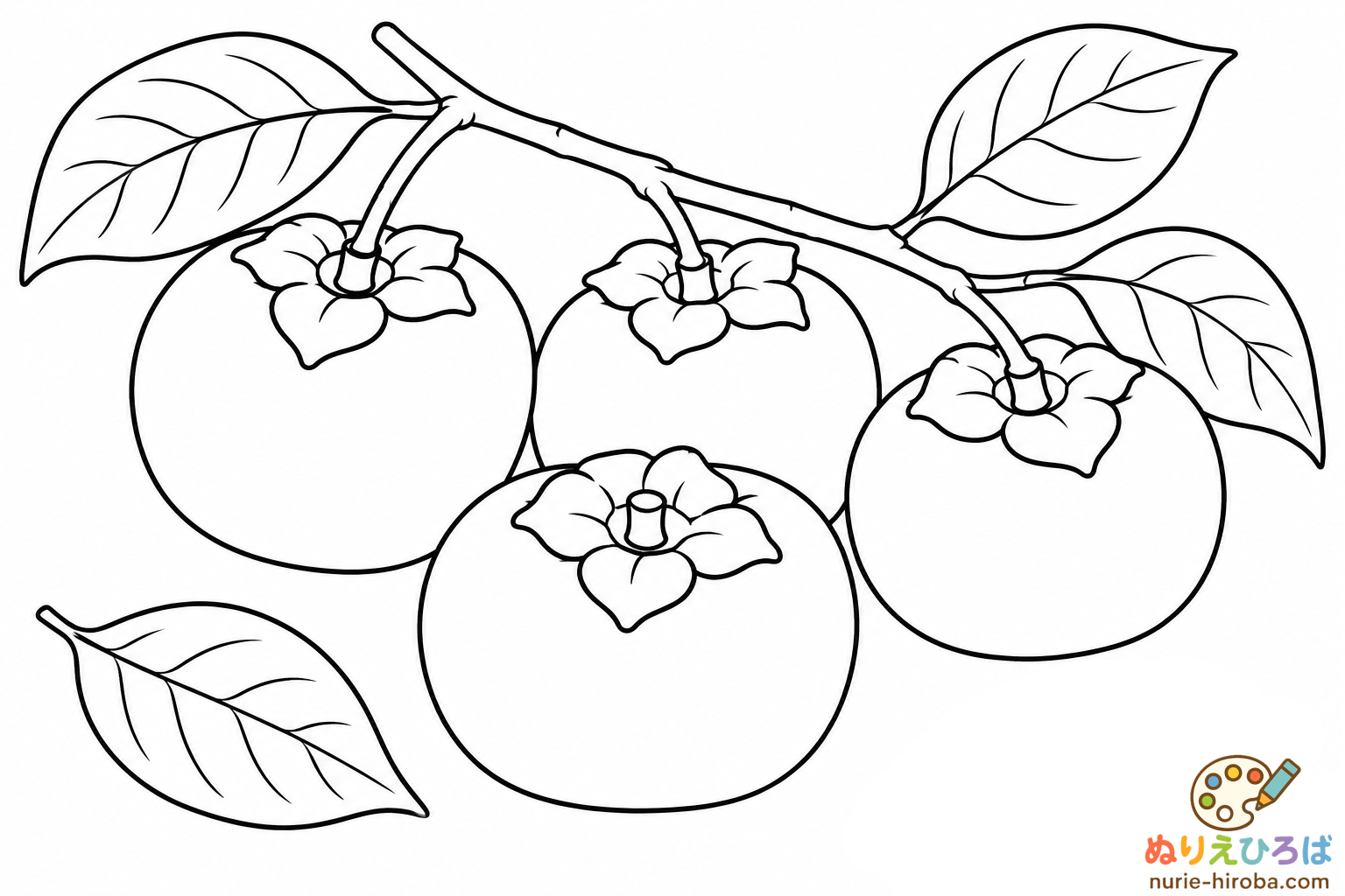 柿の実の塗り絵（プレビュー）