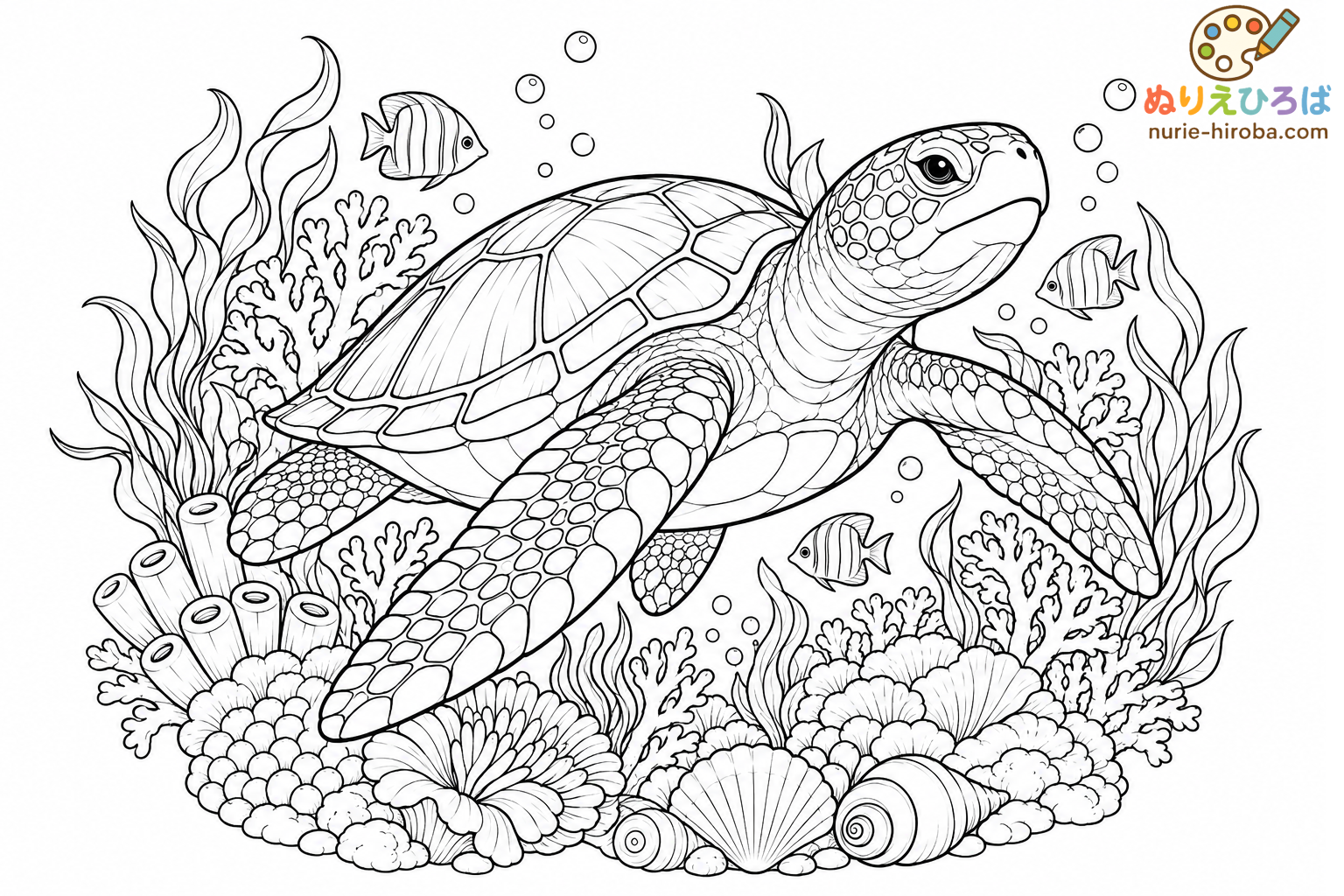 ウミガメとサンゴ礁の塗り絵（プレビュー）